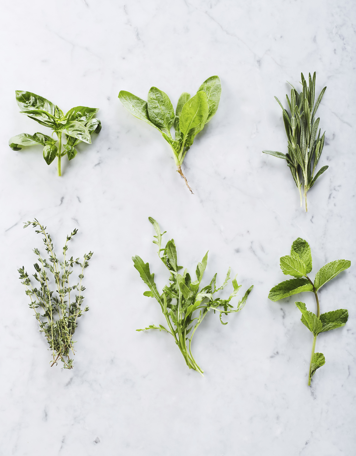 Six bunches of herbs on marble countertop: basil, spinach, rosemary, mint, thyme, rucola. From above shot